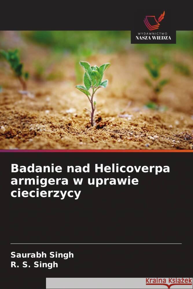 Badanie nad Helicoverpa armigera w uprawie ciecierzycy Saurabh Singh R. S. Singh 9786208579074 Wydawnictwo Nasza Wiedza - książka