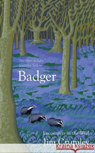 Badger Jim Crumley 9781916812673 Saraband / Contraband - książka