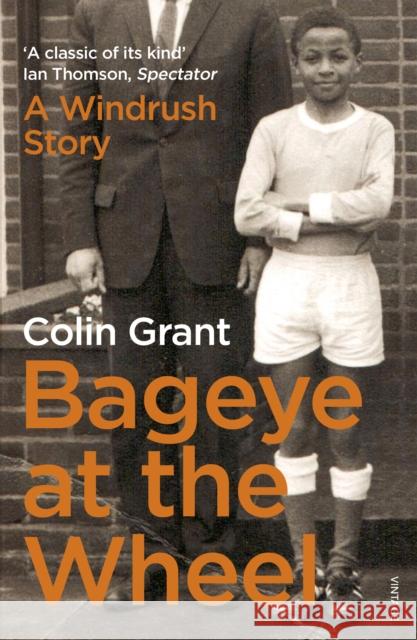 Bageye at the Wheel: A 1970s Childhood in Suburbia Colin Grant 9780099552390 Vintage Publishing - książka