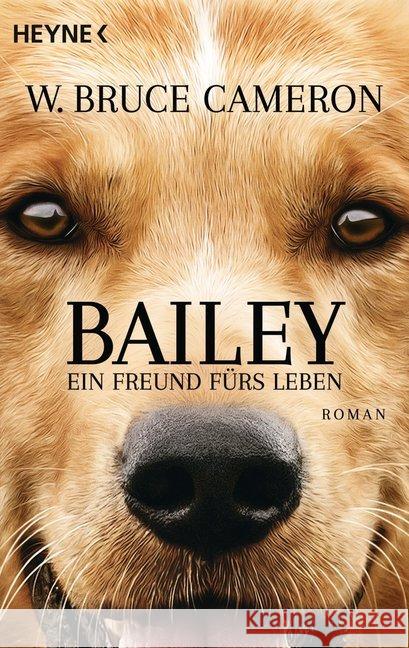 Bailey - Ein Freund fürs Leben : Roman. Ich gehöre zu dir - Buch zum Film Cameron, W. Bruce 9783453504011 Heyne - książka