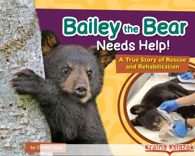 Bailey the Bear Needs Help!: A True Story of Rescue and Rehabilitation Christy Gove 9781647553449 Adventure Publications - książka