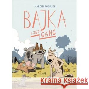 Bajka i jej gang Marcin Podolec 9788366128590 Kultura gniewu - książka