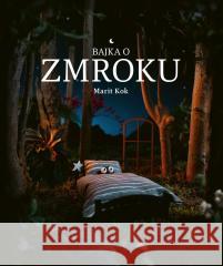 Bajka o Zmroku Marit Kok 9788382031751 Nowa Baśń - książka