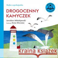 Bajka uspokajanka. Drogocenny kamyczek Jarosław Mikołajewski, Anna Mrowiec 9788382512717 Słowne (dawniej Burda Książki) - książka