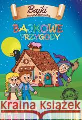 Bajkowe Przygody Agnieszka Delakowicz-Borek, Beata Kociołek 9788368583038 HOTbook - książka