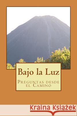 Bajo la Luz: Preguntas desde el Camino Alfaro, Gerardo A. 9781479126804 Createspace Independent Publishing Platform - książka