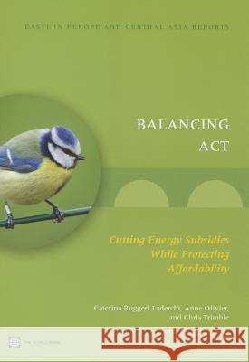 Balancing Act Laderchi, Ruggeri 9780821397893 World Bank Publications - książka