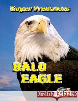 Bald Eagle: (Age 5 - 8) Rob, Tj 9781988695594 Tj Rob - książka