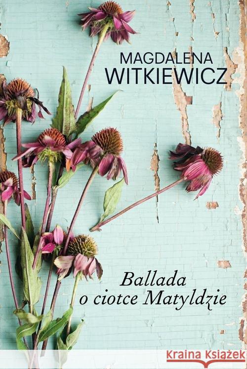 Ballada o ciotce Matyldzie Witkiewicz Magdalena 9788380750852 Filia - książka