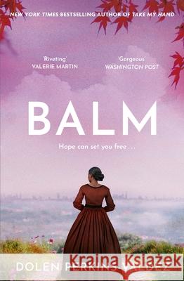 Balm: From the New York Times bestselling author of Take My Hand Dolen Perkins-Valdez 9781399620352 Orion Publishing Co - książka