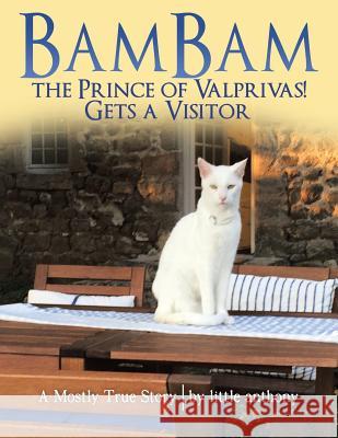 Bambam the Prince of Valprivas! Gets a Visitor: A Mostly True Story Little Anthony 9781480852679 Archway Publishing - książka