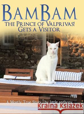 Bambam the Prince of Valprivas! Gets a Visitor: A Mostly True Story Little Anthony 9781480864719 Archway Publishing - książka