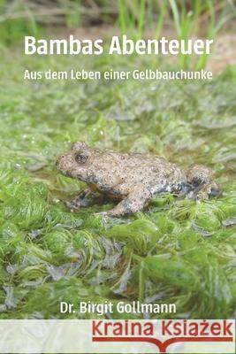 Bambas Abenteuer: Aus dem Leben einer Gelbbauchunke Birgit Gollmann 9783861968269 Papierfresserchens Mtm-Verlag - książka