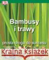 Bambusy i trawy. Prosta droga do sukcesu Ardle Jon 9788387112653 Solis