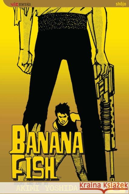 Banana Fish, Vol. 6 Akimi Yoshida 9781591164180 Viz Media, Subs. of Shogakukan Inc - książka