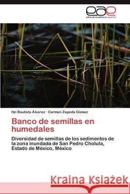 Banco de Semillas En Humedales Itzi Bautist Carmen Zeped 9783659037559 Editorial Acad Mica Espa Ola - książka