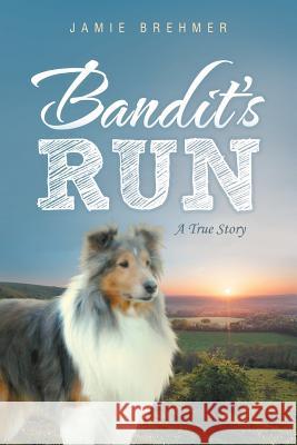 Bandit's Run: A True Story Jamie Brehmer 9781496902504 Authorhouse - książka