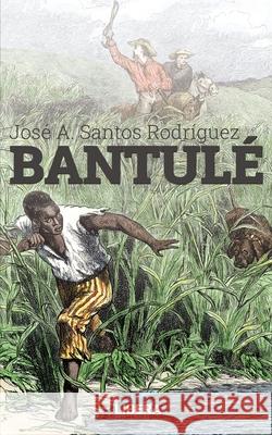 Bantulé Santos Rodríguez, José Antonio 9788418561252 Libera Editorial - książka