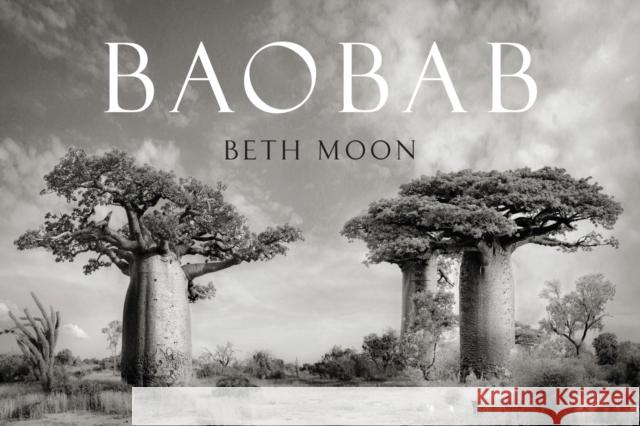 Baobab Beth Moon 9780789214096 Abbeville Press Inc.,U.S. - książka