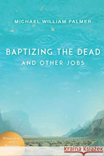 Baptizing the Dead and Other Jobs: Essays Michael William Palmer 9780872333024 Bauhan Pub - książka