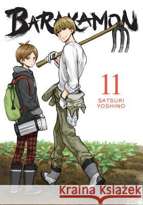 Barakamon, Vol. 11 Satsuki Yoshino 9780316393522 Yen Press - książka