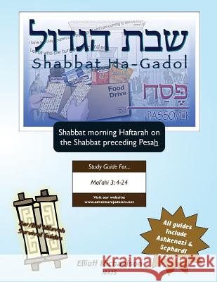 Bar/Bat Mitzvah Survival Guides: Shabbat Ha-Gadol (Shabbat am Haftarah) Michaelson Majs, Elliott 9781927740873 Adventure Judaism Classroom Solutions, Inc. - książka