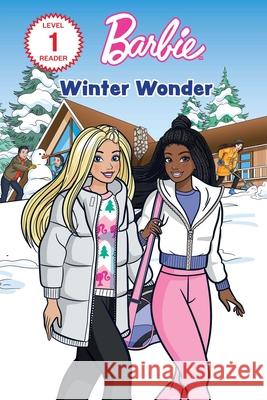 Barbie: Snowstorm Surprise Anna Membrino Ester Monte Joel Soria 9781640365643 Mattel - książka