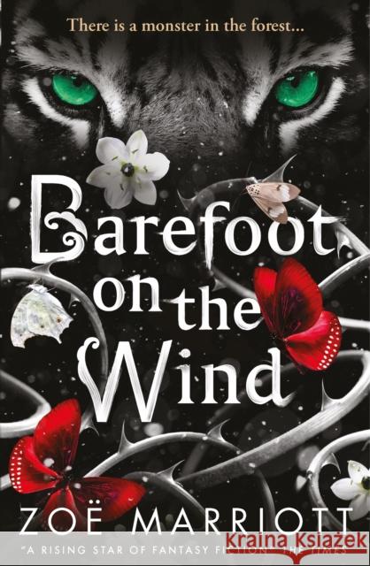 Barefoot on the Wind Zoe Marriott 9781406333374  - książka