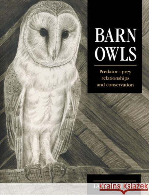 Barn Owls: Predator-Prey Relationships and Conservation Taylor, Iain 9780521545877 Cambridge University Press - książka