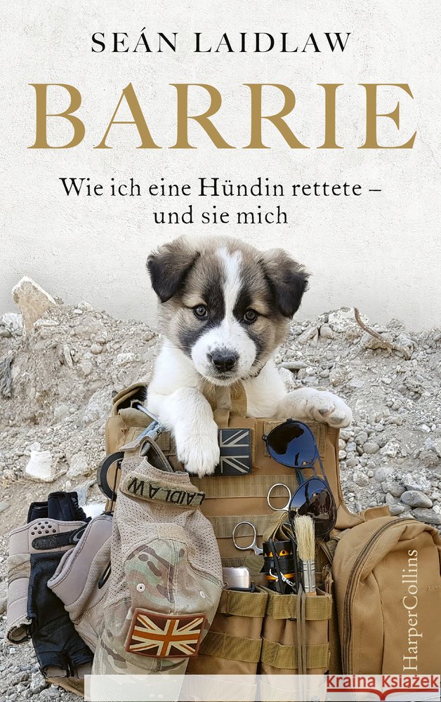Barrie - Wie ich eine Hündin rettete - und sie mich Laidlaw, Sean 9783749900121 HarperCollins Hamburg - książka