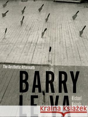 Barry Le Va: The Aesthetic Aftermath Michael Maizels 9780816694693 University of Minnesota Press - książka
