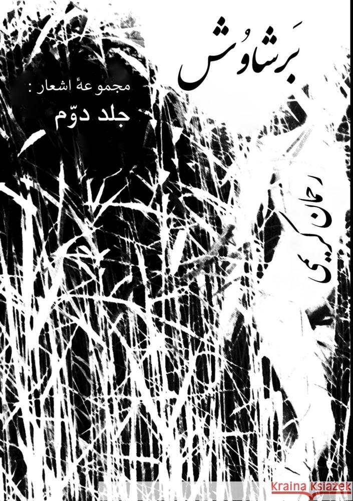 Barshawosh Rahman Karimi 9783956319211 Shaker Media GmbH - książka