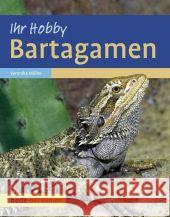 Bartagamen Müller, Veronika   9783800167685 Ulmer (Eugen) - książka