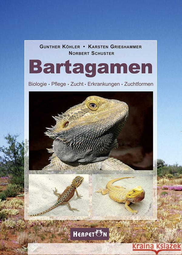 Bartagamen : Biologie, Pflege, Zucht, Erkrankungen, Zuchtformen Köhler, Gunther; Grießhammer, Karsten; Schuster, Norbert 9783936180374 Herpeton - książka