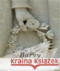 Barvy současnosti Stanislav Struhar 9788075117175 Volvox Globator - książka