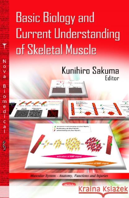 Basic Biology & Current Understanding of Skeletal Muscle Kunihiro Sakuma 9781628083675 Nova Science Publishers Inc - książka