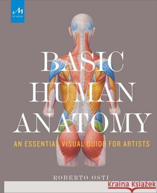 Basic Human Anatomy: An Essential Visual Guide for Artists Roberto Osti 9781580934381 Monacelli Studio - książka