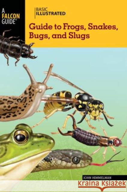 Basic Illustrated Guide to Frogs, Snakes, Bugs, and Slugs John Himmelman 9780762782598 FalconGuide - książka