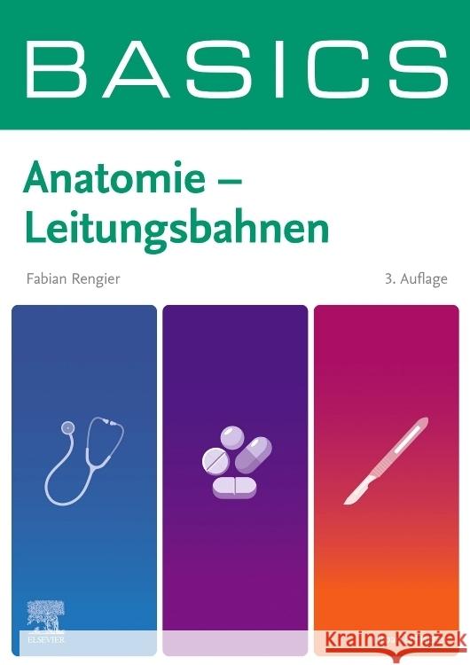 BASICS Anatomie - Leitungsbahnen Rengier, Fabian 9783437412714 Elsevier, München - książka