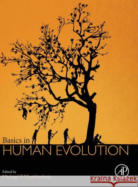 Basics in Human Evolution Muehlenbein, Michael P   9780128026526 Elsevier Science - książka