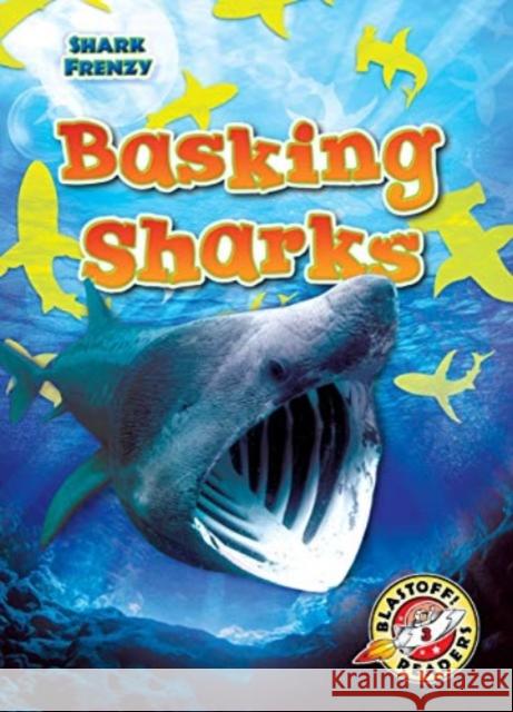 Basking Sharks Rebecca Pettiford 9781644874370 Bellwether Media - książka