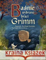 Baśnie braci Grimm Grimm Wilhelm,Grimm Jakub 9788380089297 Media Rodzina - książka