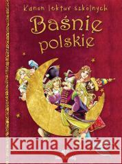 Baśnie polskie Opracowanie zbiorowe 9788382796926 Siedmioróg - książka