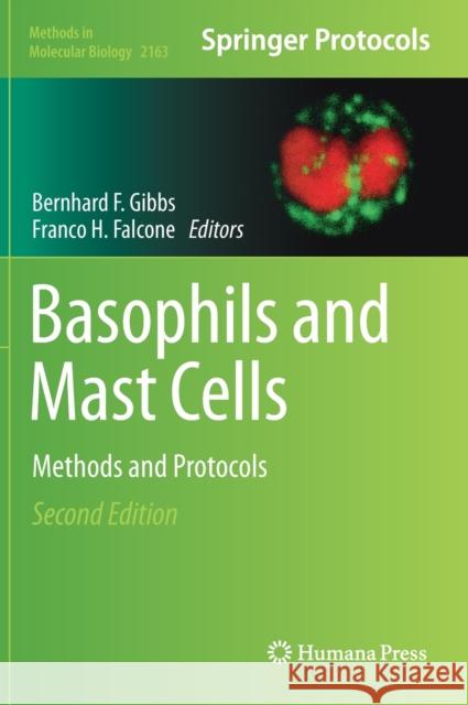 Basophils and Mast Cells: Methods and Protocols Gibbs, Bernhard F. 9781071606957 Humana - książka