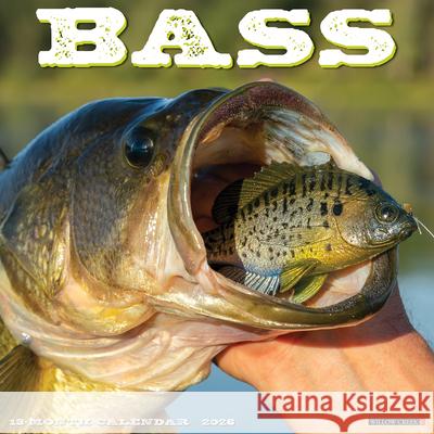 Bass 2026 Wall Calendar Willow Creek Press 9781549250064 Wlcp - książka
