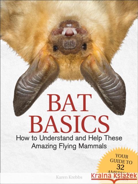 Bat Basics: How to Understand and Help These Amazing Flying Mammals Krebbs, Karen 9781591938439 Adventure Publications - książka