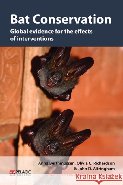 Bat Conservation: Global Evidence for the Effects of Interventions Berthinussen, Anna 9781907807893 Pelagic Publishing - książka