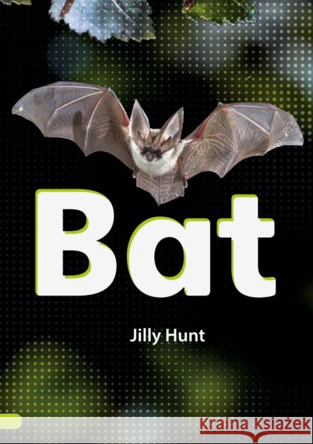 Bat (Set 02) Jilly Hunt 9780702327070 Scholastic - książka