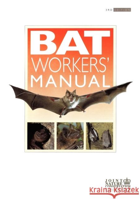 Bat Workers' Manual A J Mitchell Jones 9781907807336  - książka