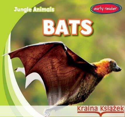 Bats Rob Ryndak 9781482417456 Gareth Stevens - książka